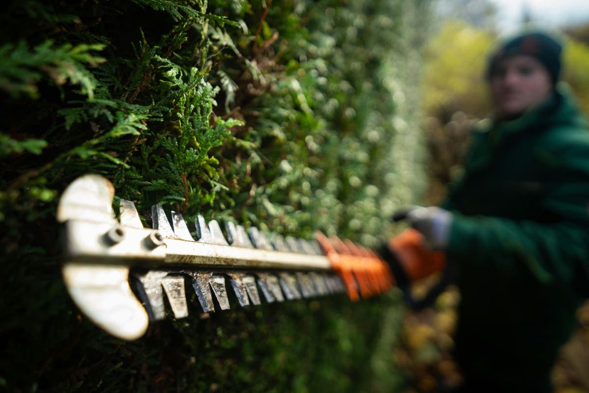 Person in green jacket holding a chainsaw for landscaping