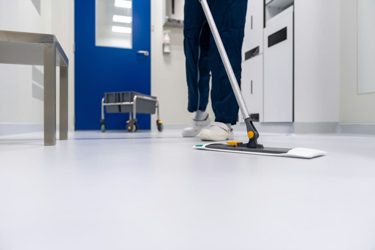 Professional carpet cleaning service
